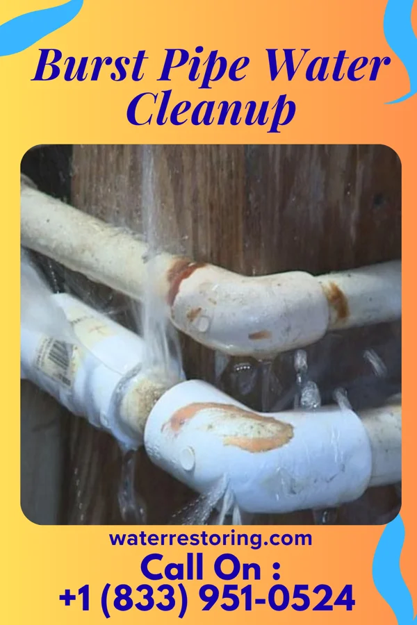 Burst Pipe Water Cleanup in Powhatan, AR