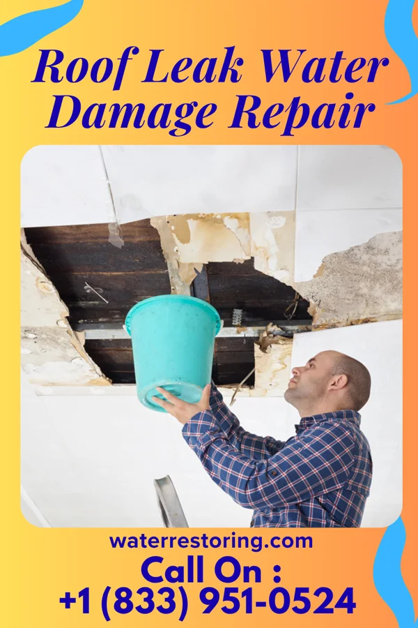 Roof Leak Water Damage Repair in Powhatan, AR